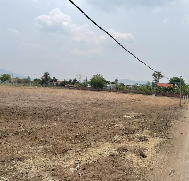 Ở ĐÂY CÓ ĐẤT NGỘP GIÁ RẺ 