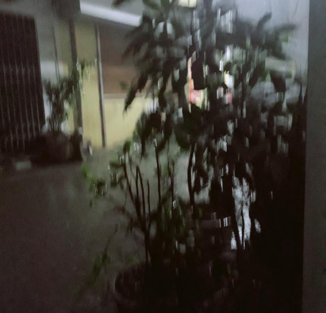 Hàng hiếm  mặt đường Chiến Thắng, Văn Quán