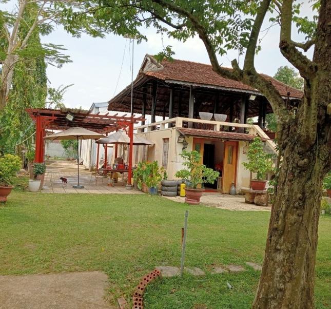 Bán gấp biệt thự 2500/1985m2, Bình Mỹ, Củ Chi, chỉ 7tr/m.