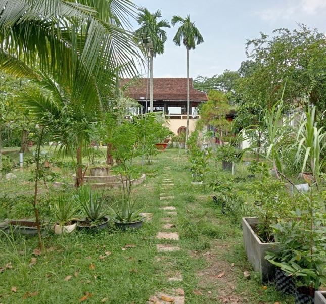 Bán gấp biệt thự 2500/1985m2, Bình Mỹ, Củ Chi, chỉ 7tr/m.