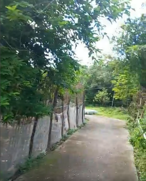 ĐẤT NỀN CÔ TÔ GẦN BÃI BIỂN BẮC VÀN CẦN BÁN GẤP TRẢ NỢ