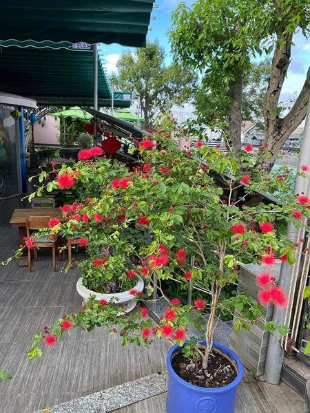 Chính chủ sang nhượng gấp Quán Cafe  162 Bà Triệu, TP Kon Tum.