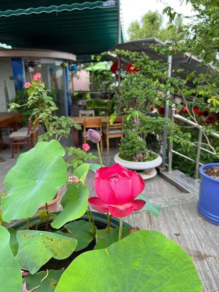Chính chủ sang nhượng gấp Quán Cafe  162 Bà Triệu, TP Kon Tum.