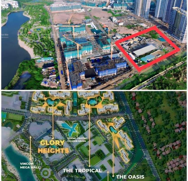 NHỮNG LƯU Ý CẦN BIẾT KHI DỌN VỆ SINH CĂN HỘ VINHOMES GRAND PARK QUẬN 9
Những lưu ý cần biết khi