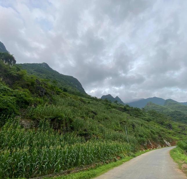 Cắt lô lô 3800m2 địa điểm checck in siêu đẹp khi đến Quảng Bạ - Hà Giang 
