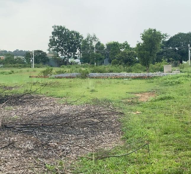 Chủ ngộp xã lổ, lô đất 100m2 Tại phường Long Bình, cạnh KCN Hố Nai, ra Tân Cảng 2km