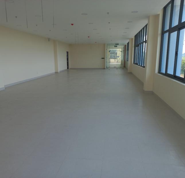 Cho thuê xưởng KCN Bình Chánh, DT: 7.000m2