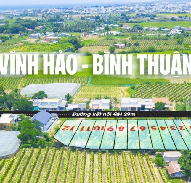 Đất ven biển Liên Hương, Bình Thuận giá sốc chỉ 750 triệu/ nền full thổ cư. 