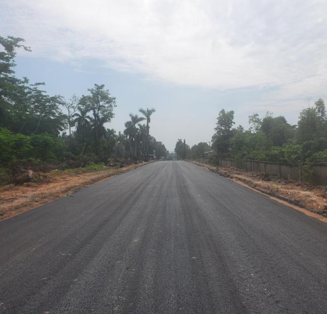 Cho thuê bãi đậu xe tại trung tâm đăng kiểm xe cơ giới Đồng Nai xã An Phước quốc lộ 51 giá 16k/m2
