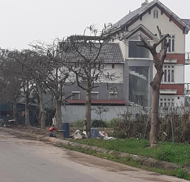 Cần chuyển nhượng gấp đất biệt thự mặt đường 21,5m khu mở rộng Cienco5 Mê Linh.