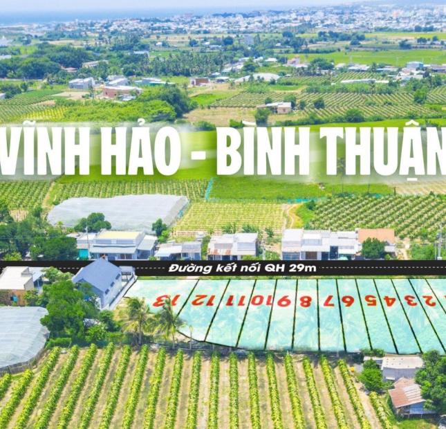 Lợi nhuận tăng lên từng giây khi sở hữu dự án đất nền Tuy Phong, Bình Thuận