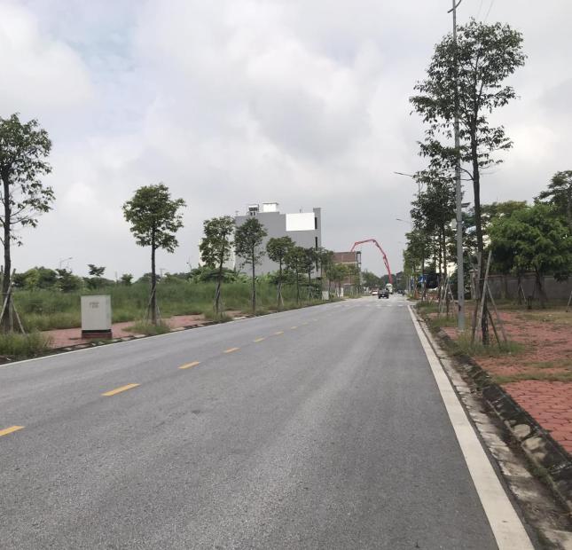 Bán gấp lô đất trục chính đường Huyền Quang khu Tân Phú Hưng chỉ 2,25 tỷ