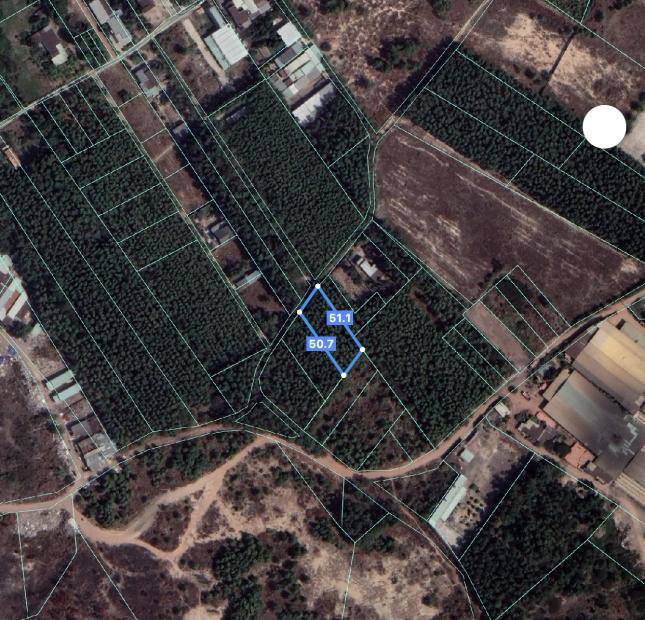 Bán 1000 m² đất sào xã An Phước huyện Long Thành Đồng Nai. Giá rẻ nhất