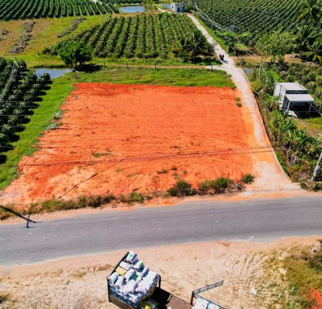 Bán Đất Nền Mặt Tiền Ngay Trục Chính Đường Nhựa Hàm Liêm 