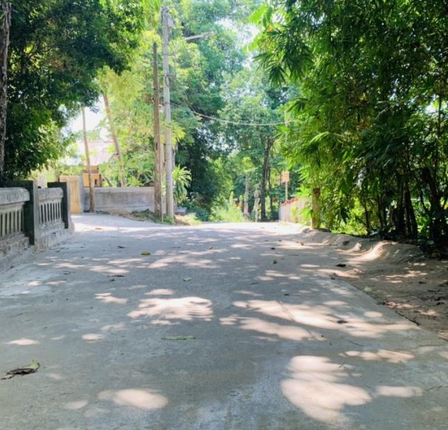 Bán đất 116m2 kiệt 15 minh mạng, phường Thủy Xuân, Huế. giá chỉ 1,25 tỷ