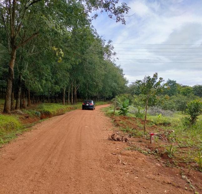 Chính chủ bán lô đất có thổ cư 230m2 ngay gần KCN Bình Phước giá 279 triệu