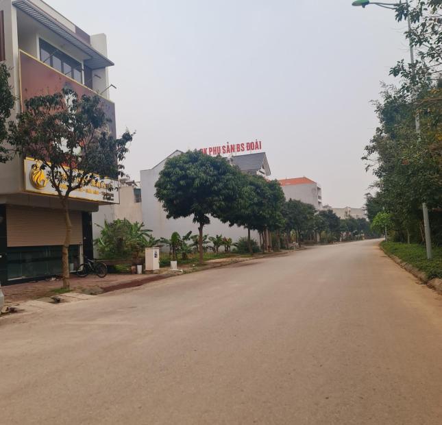 Bán đất LK3 khu A Nam Đầm Vạc, Vĩnh Yên, DT 104m2