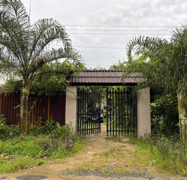 ✅Bán Gấp Homestay mặt tiền đường nhựa 600A, Huyện Tân Phú, Đồng Nai