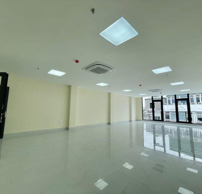 Bán gấp nhà aphố Trạm, Gara, view vườn hoa 100m2, 6 tầng, thang máy. MT7m 12 tỷ