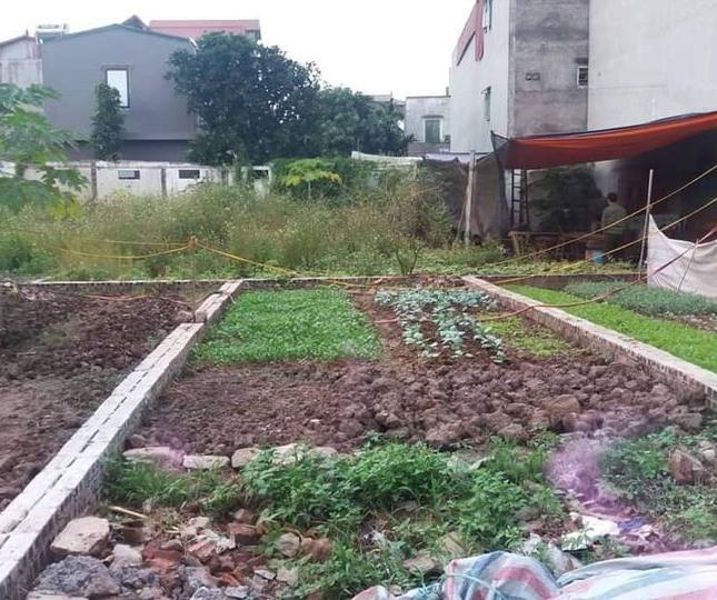 Tôi Bán Mảnh Đất Ngô Xuân Quảng (TDP Chính Trung) Trâu Quỳ, Gia Lâm, Hà Nội