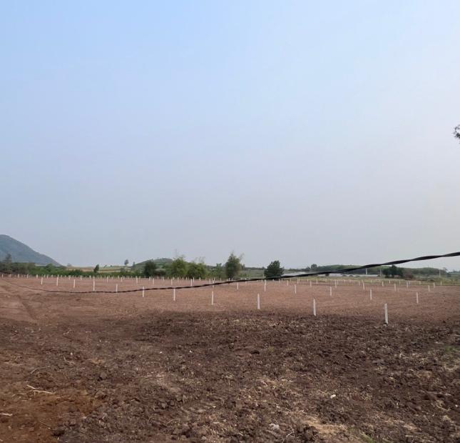 200m2 120tr bao công chứng sang tên, sổ sách đầy đủ công chứng trong ngày