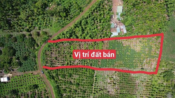 Em Chính chủ cần ra gấp lô đất Quảng Hiệp – Huyện Cưmgar – Daklak. Dân cư đông đúc