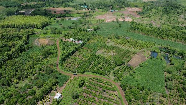 Em Chính chủ cần ra gấp lô đất Quảng Hiệp – Huyện Cưmgar – Daklak. Dân cư đông đúc