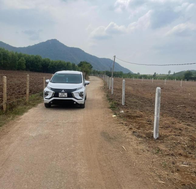 CẦN BÁN GẤP LÔ ĐẤT CHÍNH CHỦ, GÁ RẺ 500M2