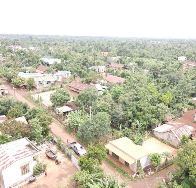 Cần Bán Dất Giá Rẻ Tại  Thị trấn Cư Dliê Mnông