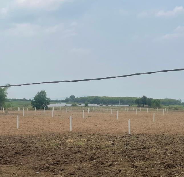 ANH CHỊ TÌM ĐẤT CHÍNH CHỦ, GIÁ RẺ THÌ ĐÂY LÀ CƠ HỘI TỐT