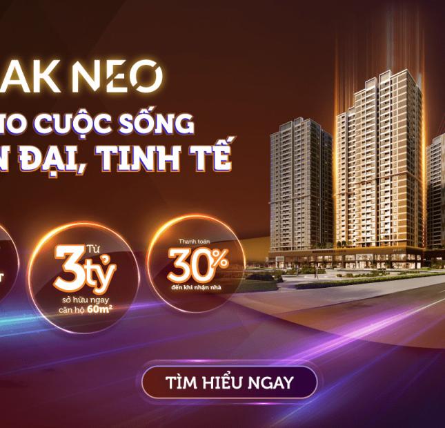 Bán căn hộ chung cư tại Dự án Akari City Nam Long, Bình Tân 2PN tặng nội thất giá 3 tỷ/ Căn chiết khấu 2% khi Booking sớm