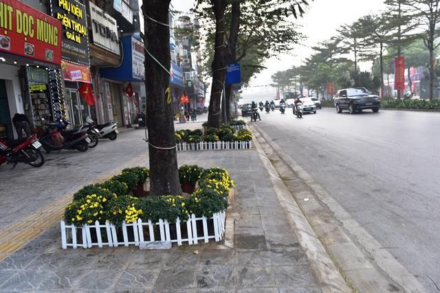 MẢNH ĐẤT CỰC ĐẸP MẶT PHỐ NGUYỄN ĐÌNH HOÀN - 73m2 x MT 5,6m - GIÁ QUÁ SỐC