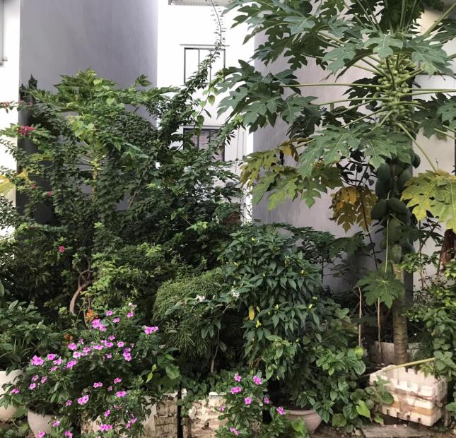 Bán gấp lô 28.125 kđt Thiên Phú P Tứ Minh chỉ 2,1 tỷ