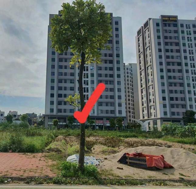  Bán đất KDC Trần Hưng Đạo, TP HD, 101.25m2, mt 5m, đường + hè rộng 17.5m, giá cực tốt