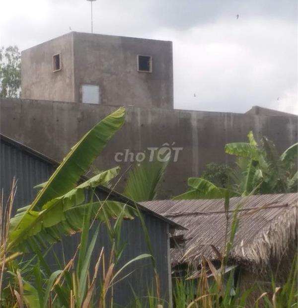 CHÍNH CHỦ Cần Bán Gấp Căn Nhà Yến Diện Tích Sàn Lớn Tại  Xã Vĩnh Thành, Thạnh Trị, Sóc Trăng