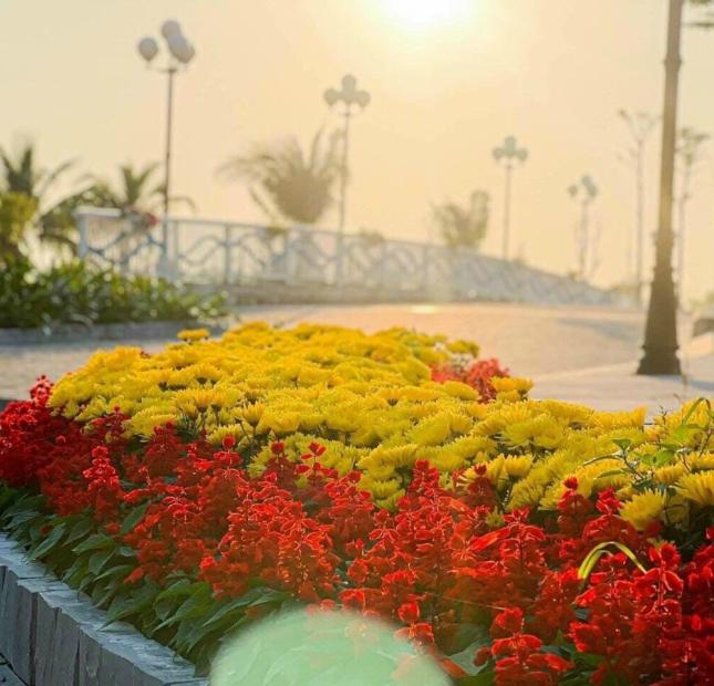 CHÍNH SÁCH MỚI VỚI CHIẾT KHẤU SIÊU KHỦNG ECOGARDEN HUẾ LÊN ĐẾN HƠN 9%