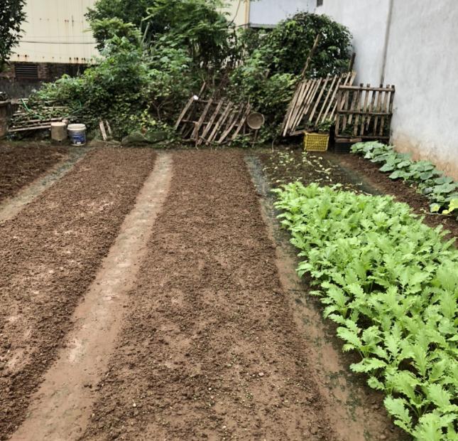 Bán đất Cự Khối, ô tô tránh, KD, 260 m2, MT 7,5 m, chỉ 58 tr/m2.