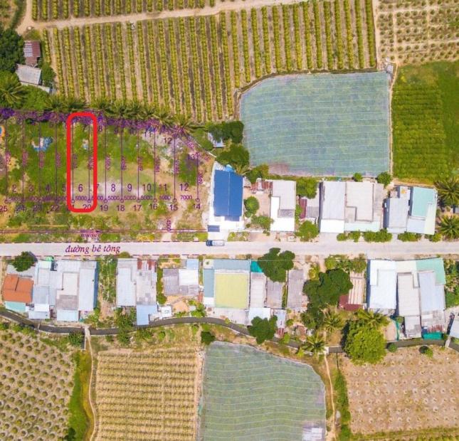 Chuyển nhương Suất Đất ở dành cho Kỹ sư tại KCN Tuy Phong giá Chỉ 739 Triệu 