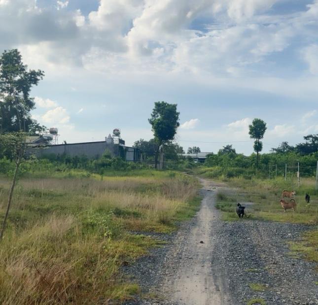 Bán đất Giá công nhân, DT; 135m2 đường 8m thông, đường  Phan đăng Lưu đi vào, giá 320 triệu