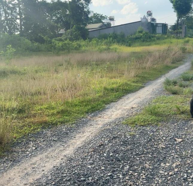 Bán đất Giá công nhân, DT; 135m2 đường 8m thông, đường  Phan đăng Lưu đi vào, giá 320 triệu