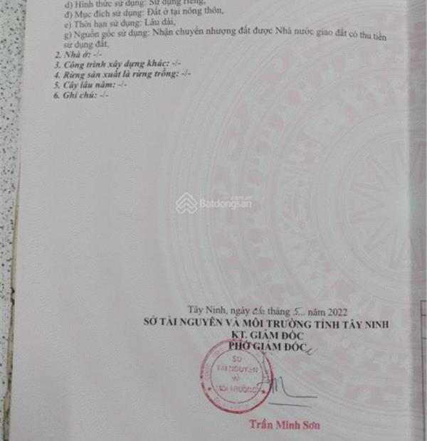 Cần bán đất tại Đường Pháo Binh, Xã Thanh Phước, Gò Dầu, Tây Ninh.