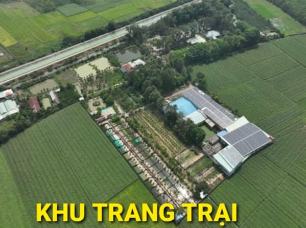 Bán Gấp Trang Trại 14000m2 Kênh Đông Trung Lập Hạ Củ Chi TPHCM