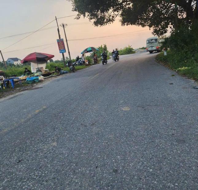 Bán đất mặt đường 196 Xã Đại Đồng, Văn Lâm, Hưng Yên