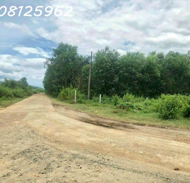 Chính chủ cần bán lô đất thuộc Thôn 5, xã Diên Đồng, Huyện Diên Khánh, Tỉnh Khánh hòa