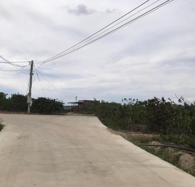Bán đất  Ninh Gia, Đức Trọng, Lâm Đồng, 1,3ha giá 14 ty