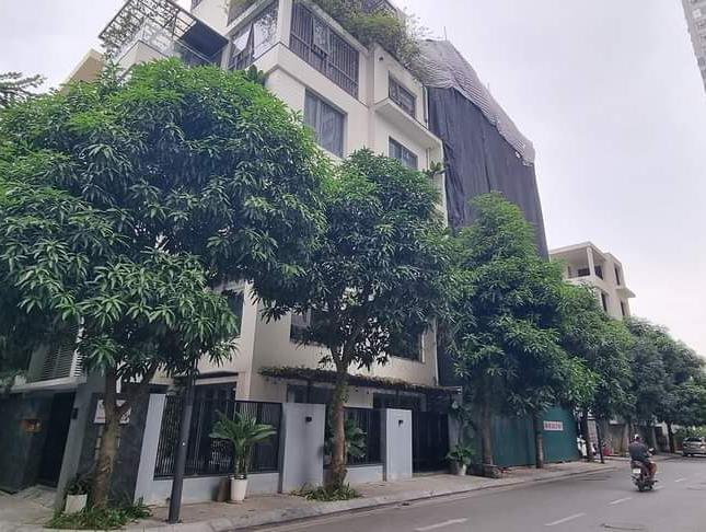 BIỆT THỰ LIỀN KỀ - THỐNG NHẤT COMPLEX - 82 NGUYỄN TUÂN - 107m x 7 tầng. Giá : hơn 40 tỷ