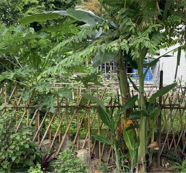 BÁN ĐẤT MẶT ĐƯỜNG NGÕ 5 BÃI MUỐI THÔNG LIDECO,CAO THẮNG,HẠ LONG,QUẢNG NINH