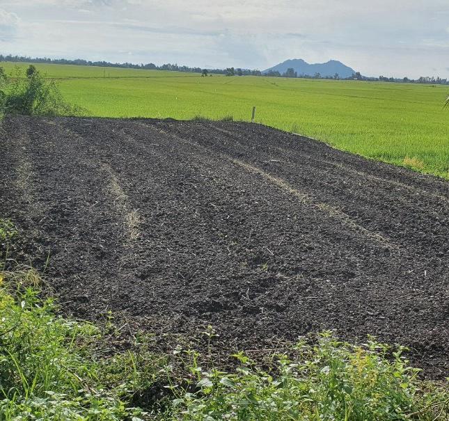 CẦN BÁN ĐẤT MẶT TIỀN đường Số 10, Xã Tân Tuyến, Huyện Tri Tôn, An Giang.