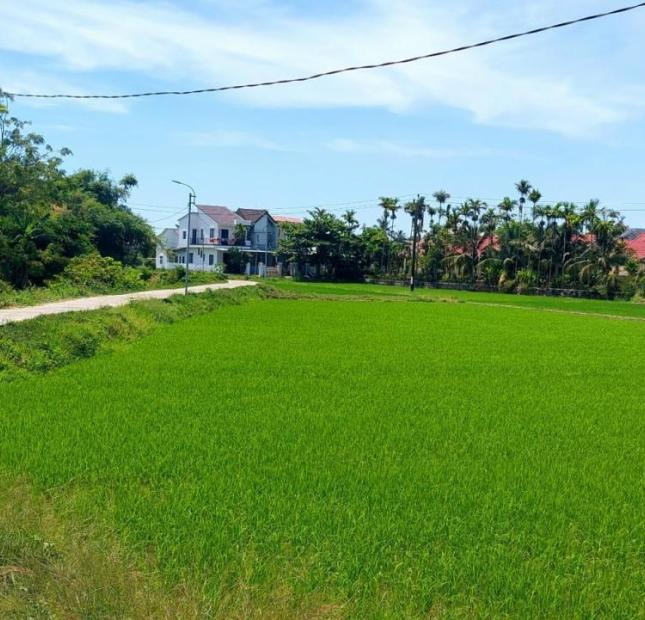 Cần sang nhượng villa view lúa ngay trung tâm An Mỹ, Cẩm Châu,Hội An