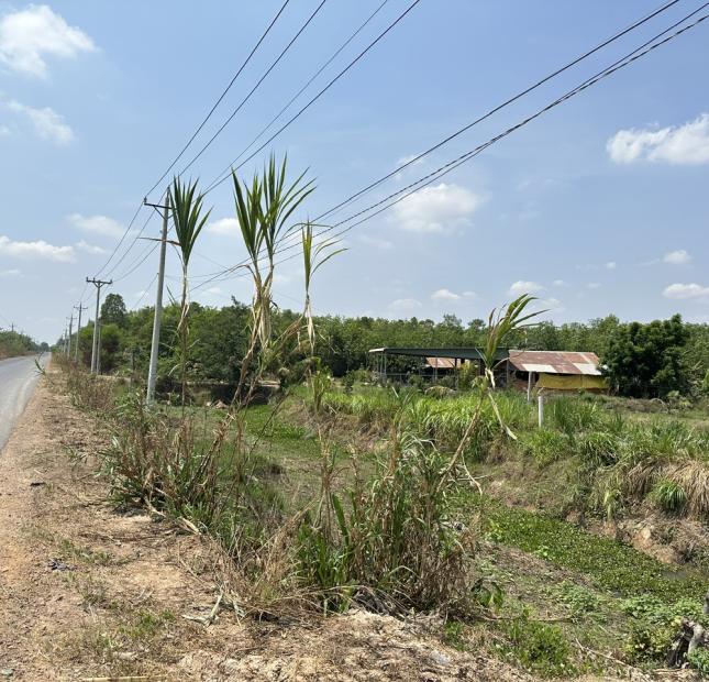 Bán đất đường nhựa xã Ninh Điền, Châu Thành, Tây Ninh: 17 x 54, giá 1,86 tỷ.